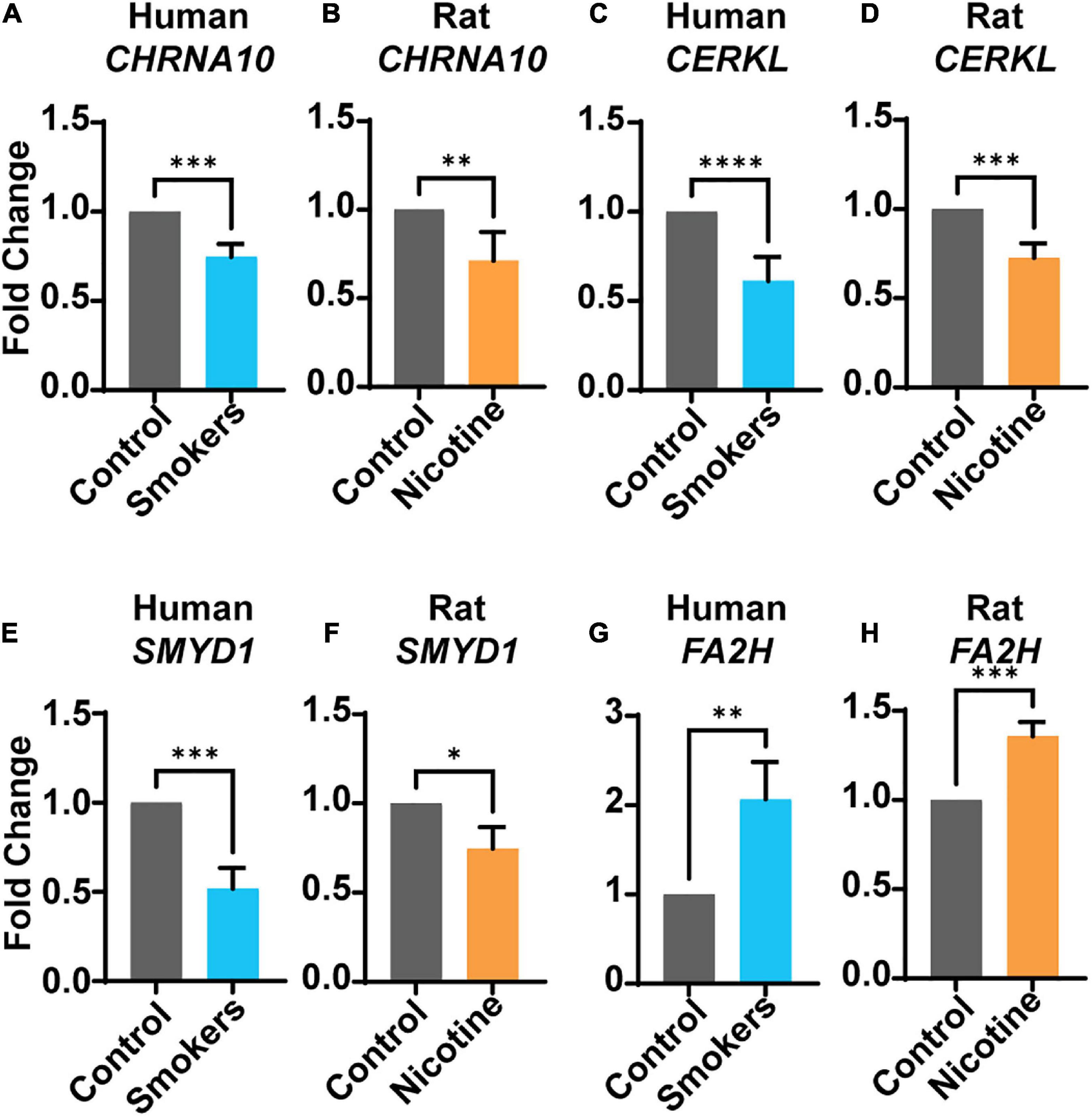 Sex and diet-dependent gene alterations in human and rat brains with a history of nicotine exposure